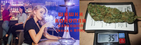ГАЛЛЮЦИНОГЕННЫЕ ГРИБЫ Аркадак