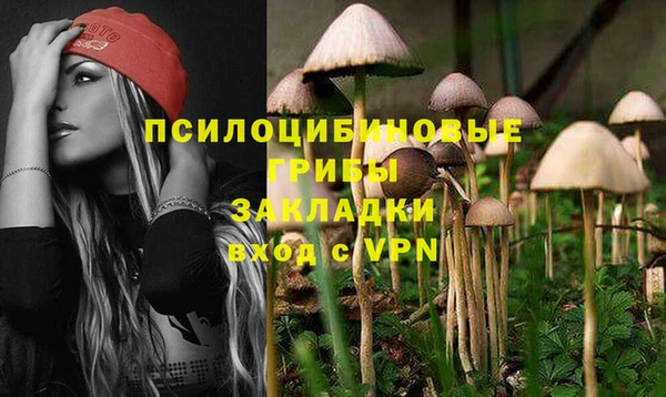 таблы Арсеньев