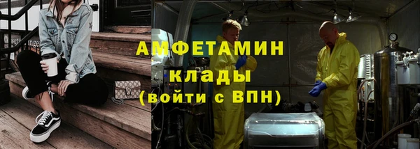 ГАЛЛЮЦИНОГЕННЫЕ ГРИБЫ Аркадак