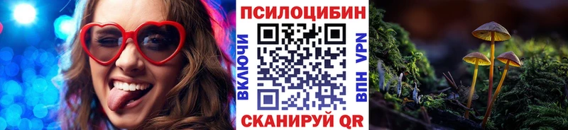 omg рабочий сайт  Кукмор  Галлюциногенные грибы прущие грибы 
